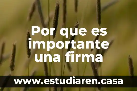 Por que es importante una firma
