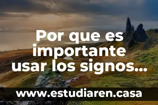 Por que es importante usar los signos de puntuacion