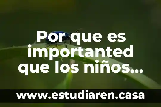 Que es la gimnasia ritmica para niños 3 Por que es importanted que los niños comoscan su cominidad