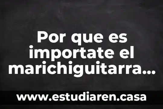Por que es importate el marichiguitarra s