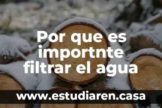 Por que es importnte filtrar el agua