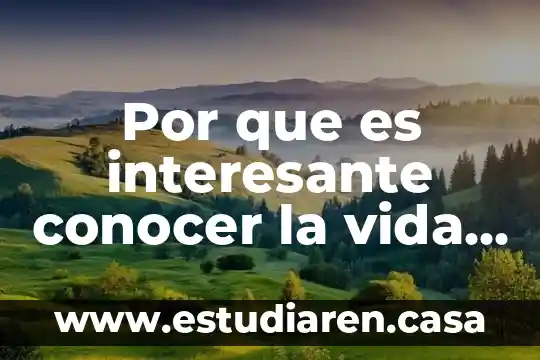 Joven preguntandose que es conocer es fals o verdadero 4 Por que es interesante conocer la vida de un personaje