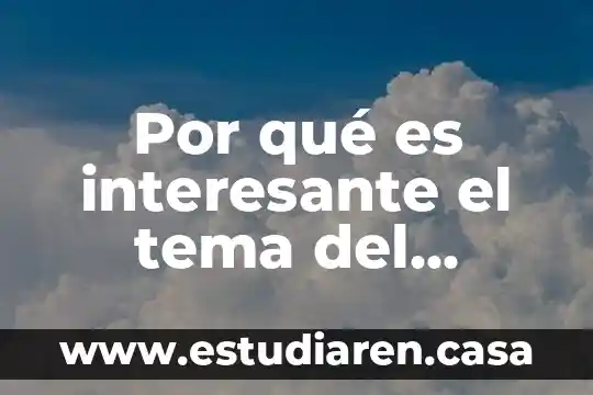 Por qué es interesante el tema del desarrollo cognitivo Piaget
