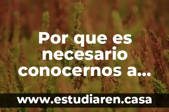 Por que es necesario conocernos a nosotros mismos yahoo