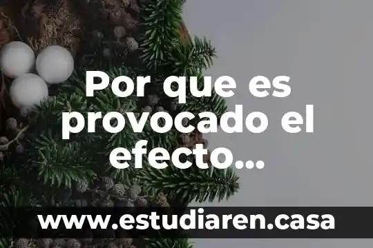 Efecto gorila que es 6 Por que es provocado el efecto inverdadero