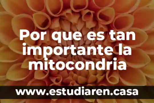 Por que es importante los viajes de escuela 7 Por que es tan importante la mitocondria