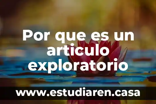 Que es el estudio exploratorio 3 Por que es un articulo exploratorio
