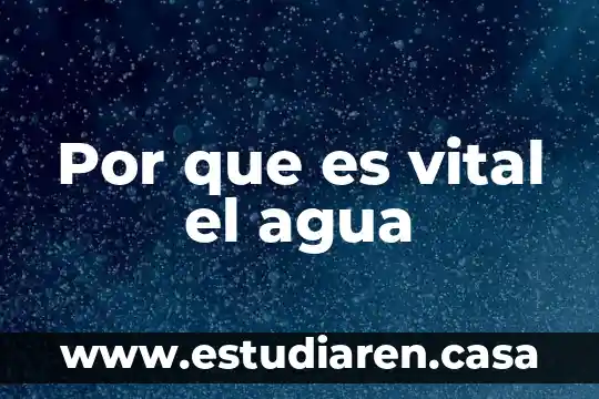 Que es la teoria de la fuerza vital 4 Por que es vital el agua