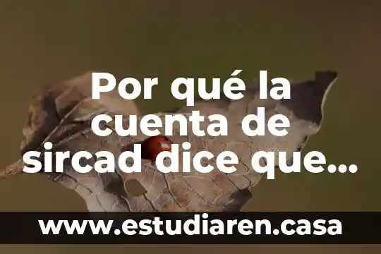 Que es cuenta de trading forex y cfd con xm 7 Por qué la cuenta de sircad dice que es inamovible