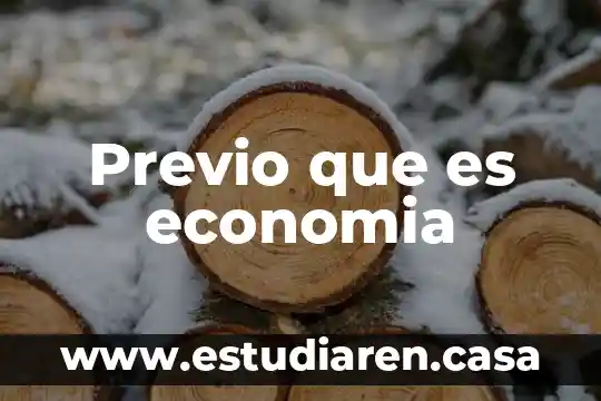 Previo que es economia