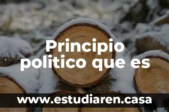 Qué es un principio en enfermeria 5 Principio politico que es