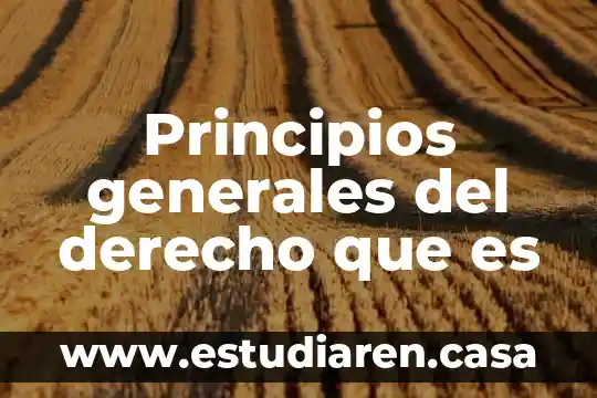 Principios generales del derecho que es