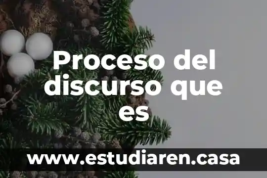 Que es proceso de apoyo en la calidad 6 Proceso del discurso que es