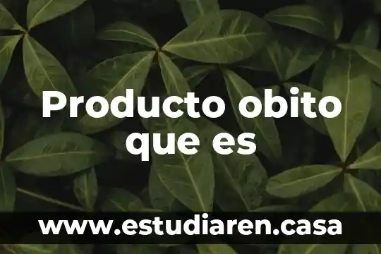 Que es un producto homogeneo heterogeneo y unico en economia 4 Producto obito que es
