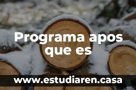 Programa apos que es