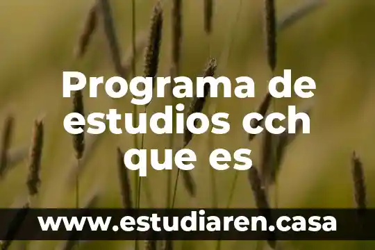 Para que es el programa imb spss 6 Programa de estudios cch que es