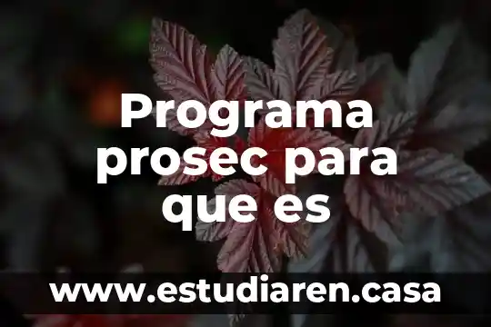 Para que es el programa imb spss 7 Programa prosec para que es