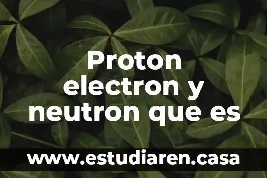 Que es yn electron 4 Proton electron y neutron que es