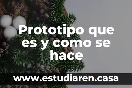 Prototipo que es y como se hace