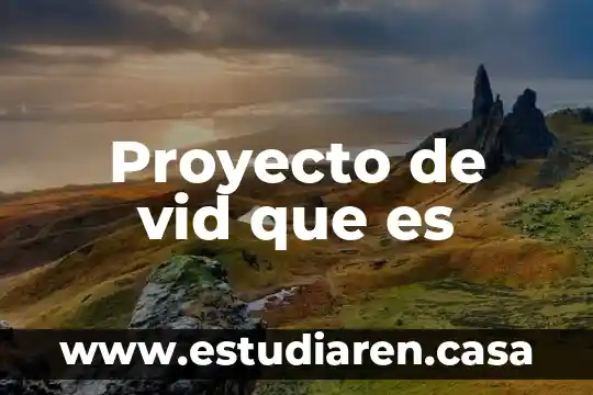 Qué es la condición de vid 4 Proyecto de vid que es