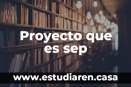 Qué es la viabilidad de un proyecto empresarial 4 Proyecto que es sep