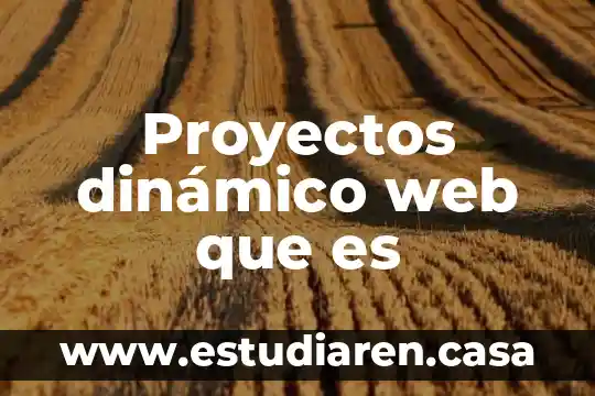 Proyectos dinámico web que es