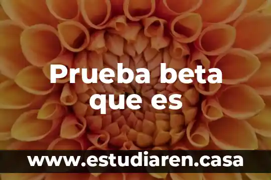 Prueba beta que es