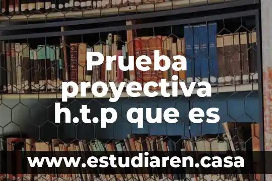 Que es prueba juridicamente hablando 3 Prueba proyectiva h.t.p que es