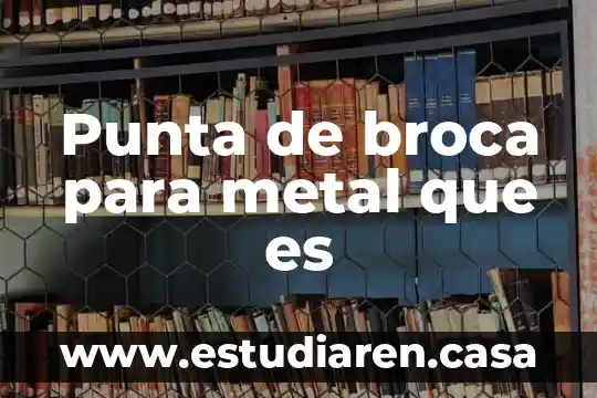 Que es la punta de lomo 5 Punta de broca para metal que es