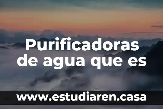 Purificadoras de agua que es