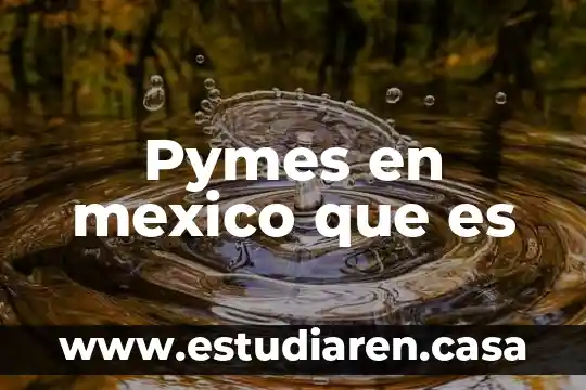 Pymes en mexico que es