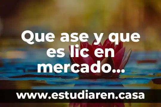 Que es lo k ase un seguridad privada 6 Que ase y que es lic en mercado tecnia