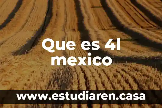 Que es apoderado aduanal en mexico 7 Que es 4l mexico