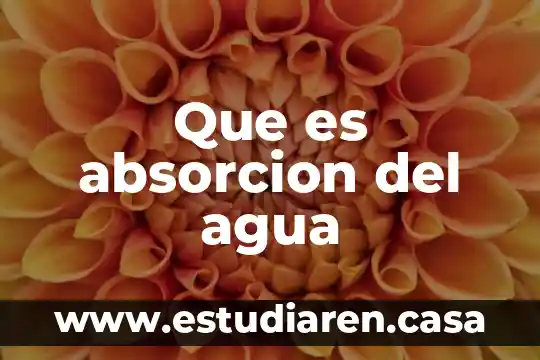 Que es absorcion del agua