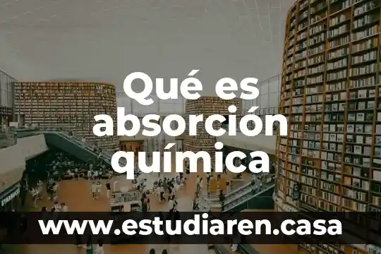 Qué es absorción química