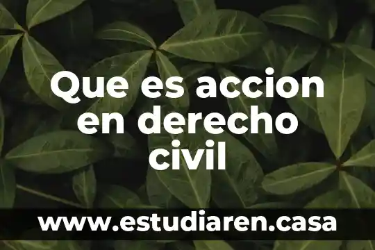 Que es accion en derecho civil 18 Que es accion en derecho civil