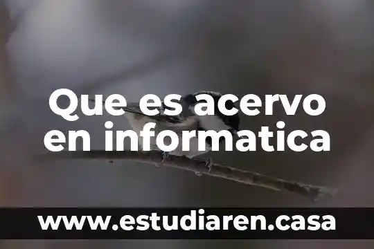 Acervo de resguardo que es 5 Que es acervo en informatica