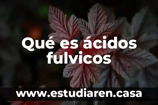 Qué es ácidos binarios y usos 6 Qué es ácidos fulvicos