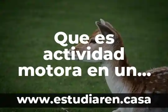 Que es actividad motora en un animal