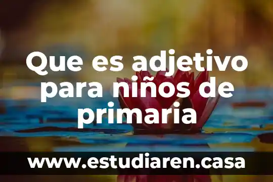 Que es adjetivo calificativo en ingles 7 Que es adjetivo para niños de primaria