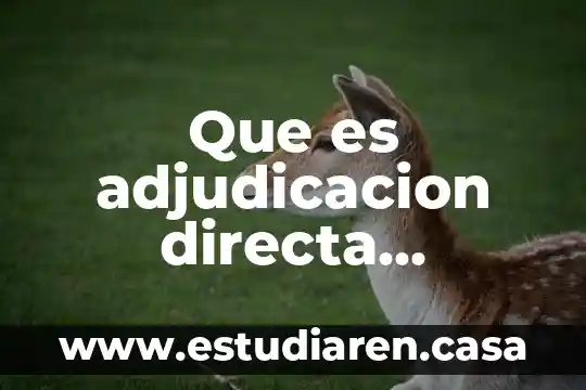 Adjudicación de un contrato que es 7 Que es adjudicacion directa selectiva concepto