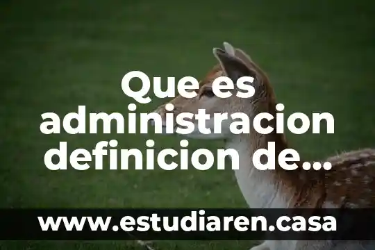 Qué es efecto varios componentes de sil-all 6 Que es administracion definicion de varios autores