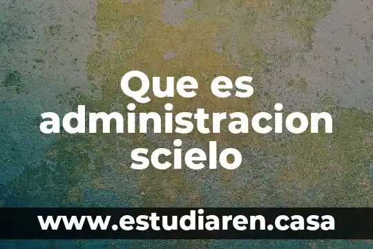 Que es administracion scielo