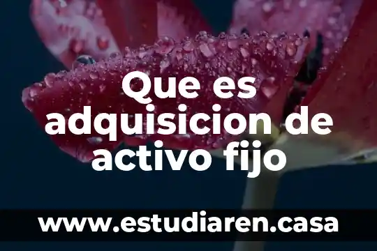 Que es un número fijo 8 Que es adquisicion de activo fijo