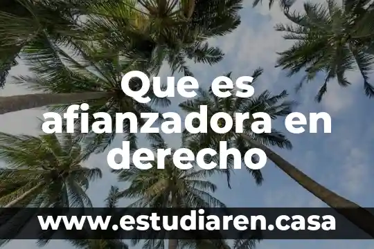 Qué es la concepción del derecho positivo 3 Que es afianzadora en derecho