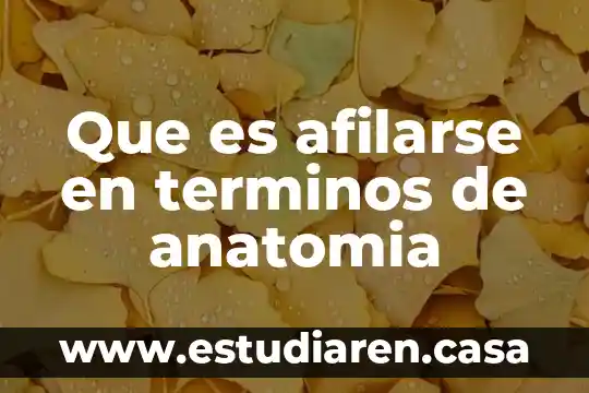 Que es cuortica en terminos de algebra 4 Que es afilarse en terminos de anatomia