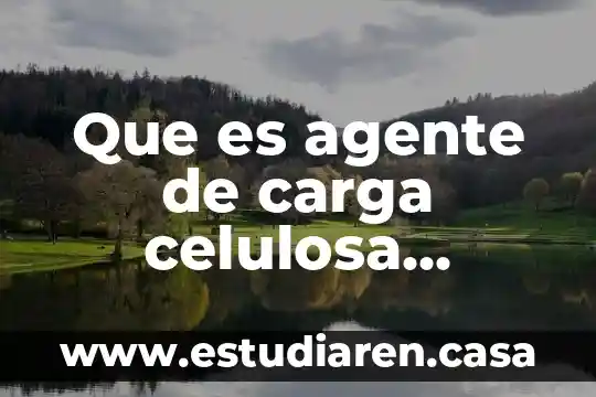 Qué es un monómero de la celulosa 3 Que es agente de carga celulosa microcristalina