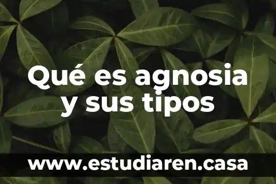Qué es agnosia y sus tipos