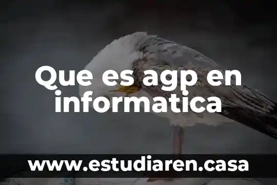 Que es un enlace informatica creador 4 Que es agp en informatica