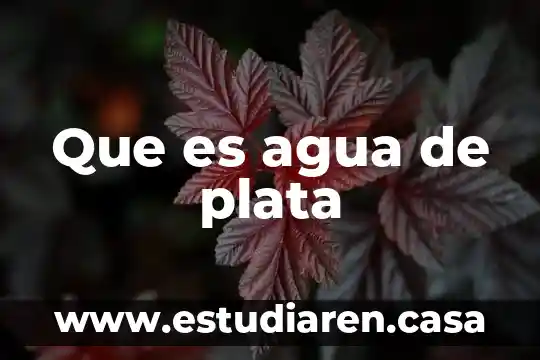 Que es un milimetro de columna de agua 4 Que es agua de plata